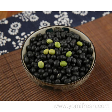 Healthiest Beans To Eat
